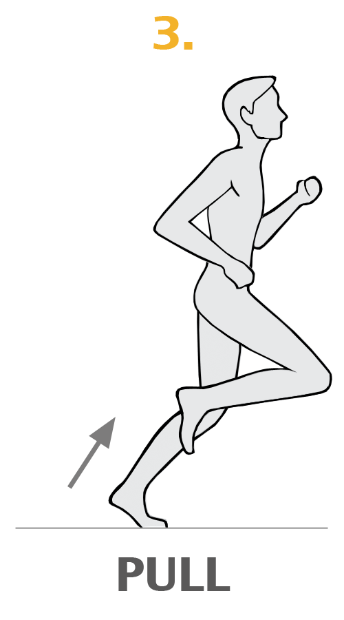 Chi Running : From Theory to Practice - Wellthyfit